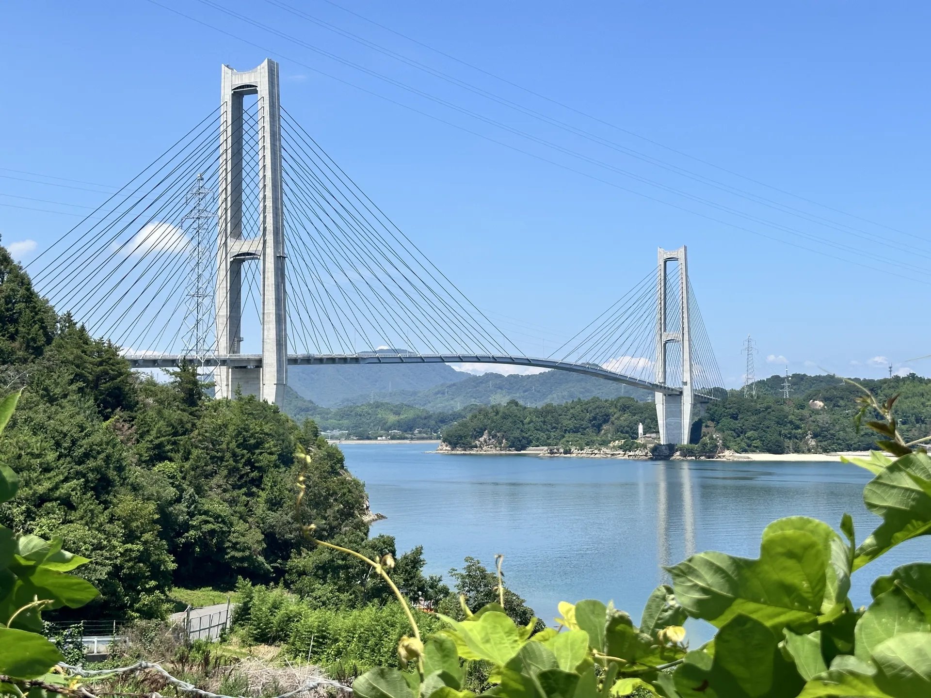 Shimanami Kaido Island Cycling × Miyajima Scenery & Fan Pilgrimage