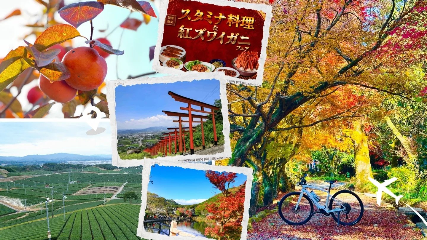 🍁 5-Day Fukuoka Autumn eBike, Onsen & Fruit Tour